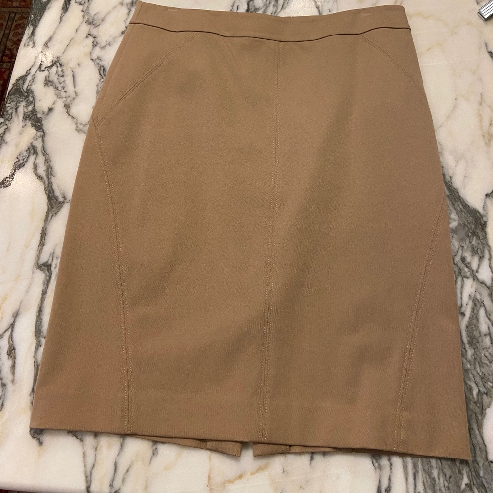 Ann Taylor Skirt